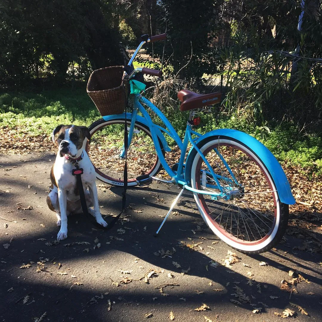 sixthreezero Paisley 3 Speed 26" Women's Beach Cruiser Bike